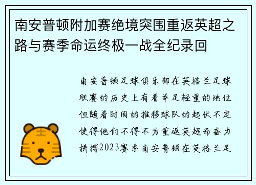 南安普顿附加赛绝境突围重返英超之路与赛季命运终极一战全纪录回